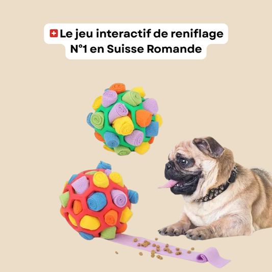 Jouet interactif de reniflement