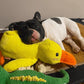 Canard Anti-Stress pour chien